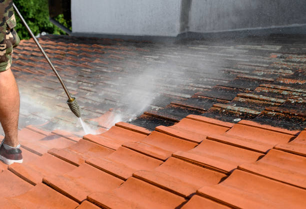 Best Sidewalk Pressure Washing  in Mayfield, PA